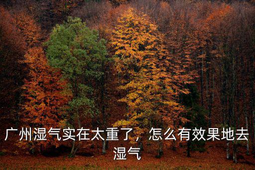 廣東和蕪湖濕氣太重怎么去除,體內(nèi)濕氣重怎么去除