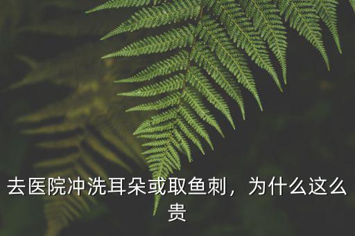 深圳市二醫院洗耳朵多少錢,去醫院沖洗耳朵或取魚刺