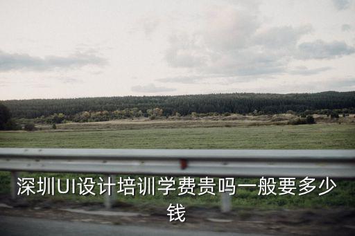 深圳專業網站設計需要多少錢,深圳UI設計培訓學費貴嗎