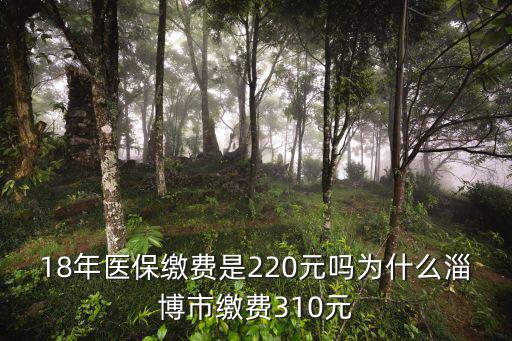 2018青島市醫(yī)保繳費(fèi)多少,18年醫(yī)保繳費(fèi)是220元嗎