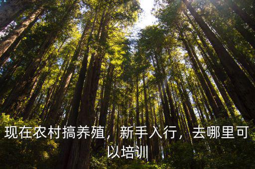現在農村搞養殖，新手入行，去哪里可以培訓