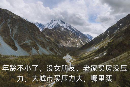 年齡不小了，沒女朋友，老家買房沒壓力，大城市買壓力大，哪里買