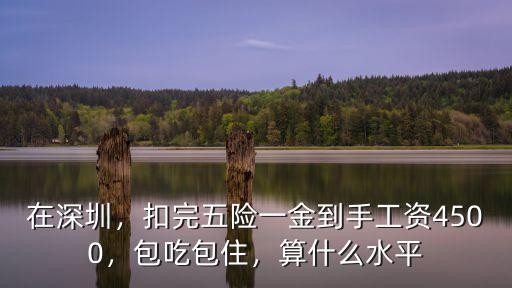 在深圳，扣完五險一金到手工資4500，包吃包住，算什么水平