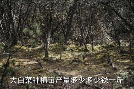 種山東大白菜畝產一般多少斤,大白菜應該什么時候種