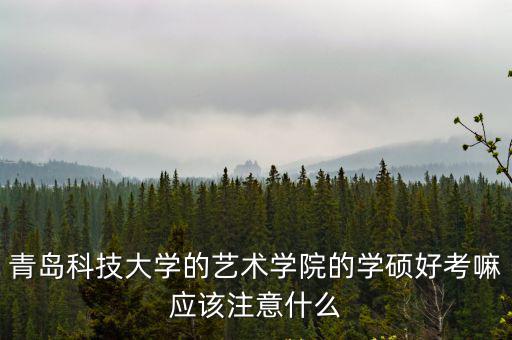 青島科技大學(xué)的藝術(shù)學(xué)院的學(xué)碩好考嘛應(yīng)該注意什么