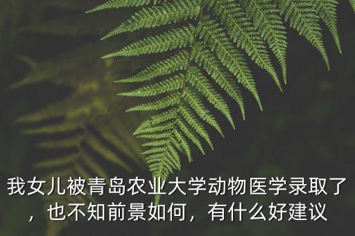 青島農業大學動物醫學多少分,青島農業大學發展怎么樣