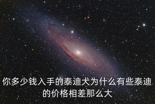 你多少錢入手的泰迪犬為什么有些泰迪的價格相差那么大