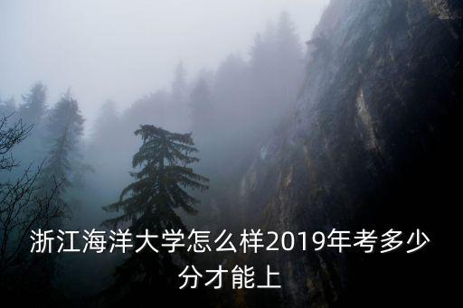 浙江大學海洋學院多少分,2019年考多少分才能上