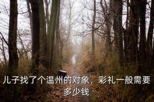 兒子找了個(gè)溫州的對(duì)象，彩禮一般需要多少錢