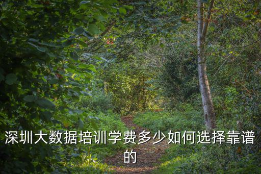 深圳電腦培訓(xùn)收費(fèi)多少,深圳大數(shù)據(jù)培訓(xùn)學(xué)費(fèi)多少