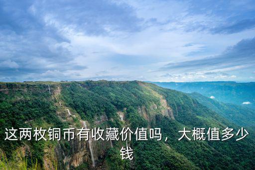 這兩枚銅幣有收藏價值嗎，大概值多少錢