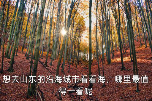 想去山東的沿海城市看看海，哪里最值得一看呢