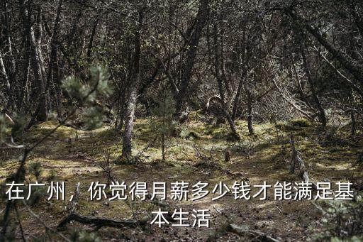 廣州女孩工資多少,來說說90后女生月薪多少