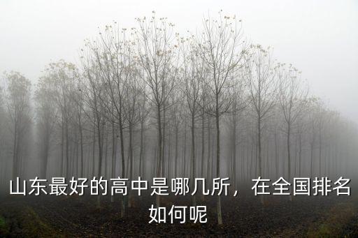 山東目前有多少高中,山東省比較好的高中有哪些