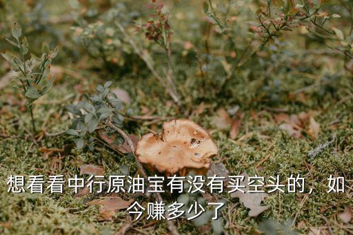 想看看中行原油寶有沒有買空頭的，如今賺多少了