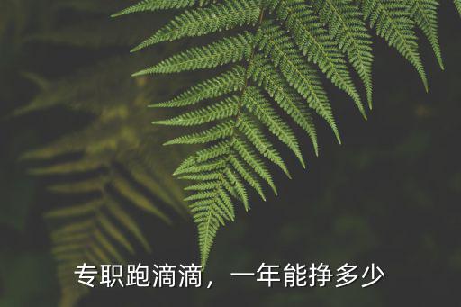 專職跑滴滴，一年能掙多少
