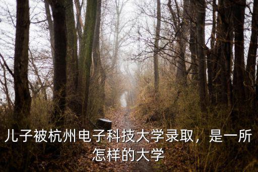 杭州電子科技大學去年考研多少分,兒子被杭州電子科技大學錄取