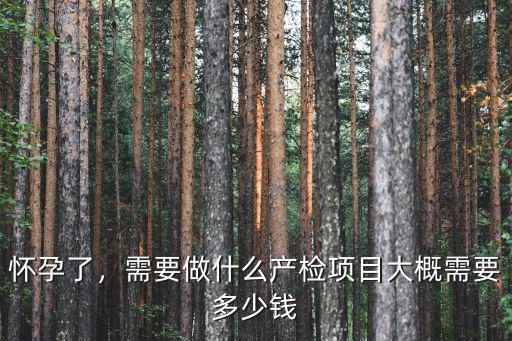 懷孕了，需要做什么產檢項目大概需要多少錢