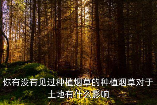 廣州煙草哪里有種植,種植煙草對于土地有什么影響