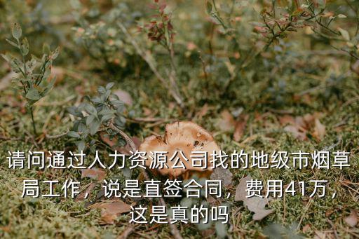 請問通過人力資源公司找的地級市煙草局工作，說是直簽合同，費用41萬，這是真的嗎