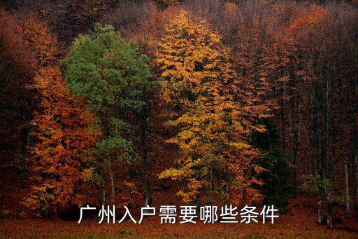 廣州入戶有多少條件,廣州入戶需要哪些條件