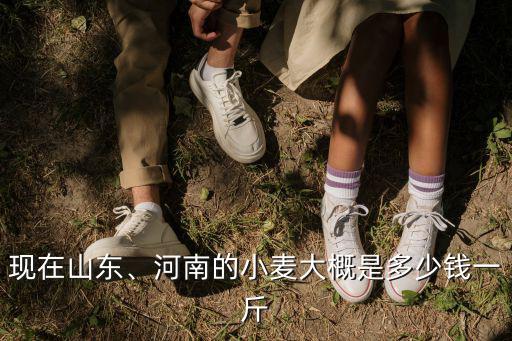 現在山東、河南的小麥大概是多少錢一斤