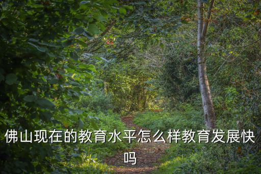 佛山華教教育待遇怎么樣,佛山現在的教育水平怎么樣