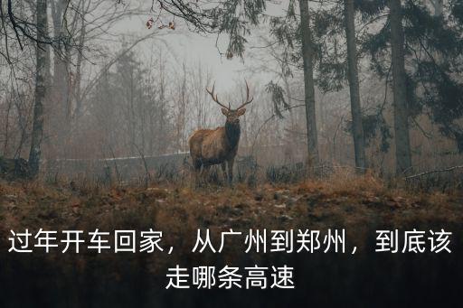 從廣州到安陽走高速需要多少高速費,從廣州到鄭州
