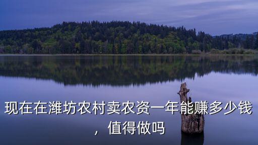 現在在濰坊農村賣農資一年能賺多少錢，值得做嗎