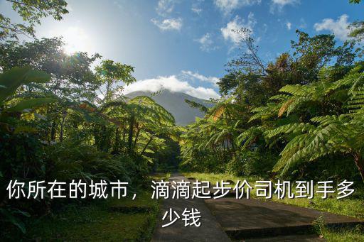 煙臺跑滴滴起步價多少,滴滴起步價司機(jī)到手多少錢