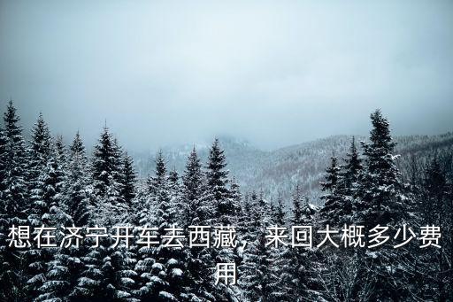 天津開車到濟寧過橋費大概多少,濟寧到西藏自駕游