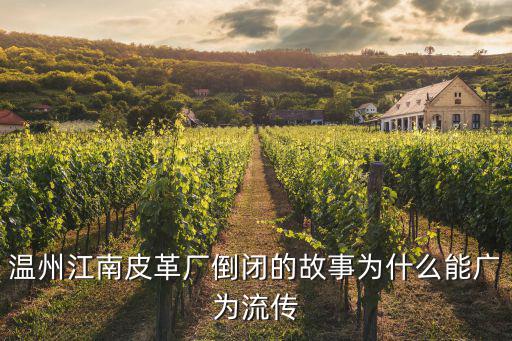 溫州江南皮革廠倒閉的故事為什么能廣為流傳