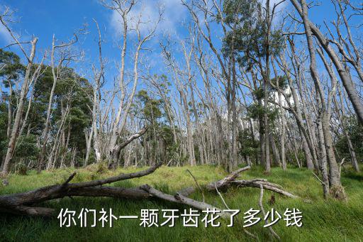 汕頭補牙多少錢一,你們補一顆牙齒花了多少錢