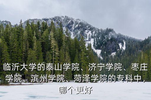 山東荷澤學(xué)院專科多少分,菏澤學(xué)院的專科中
