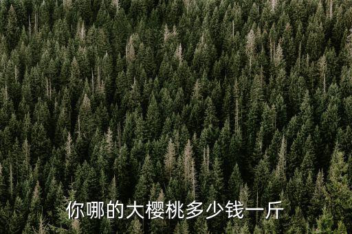 廣東這邊櫻桃多少錢一斤,你哪的大櫻桃多少錢一斤