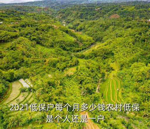 東營城鄉低保每月一人多少錢,農村低保是個人還是一戶