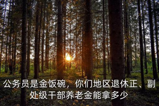 公務(wù)員是金飯碗，你們地區(qū)退休正、副處級干部養(yǎng)老金能拿多少