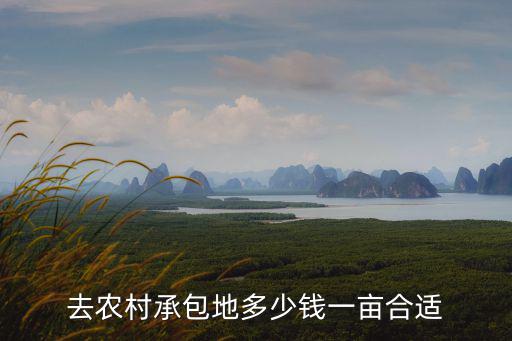 去農村承包地多少錢一畝合適