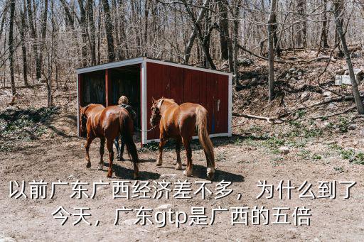 以前廣東廣西經(jīng)濟差不多，為什么到了今天，廣東gtp是廣西的五倍