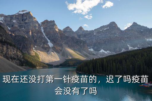 惠州打第一針哪里有的打,現(xiàn)在還沒打第一針疫苗的