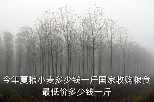 今年夏糧小麥多少錢一斤國家收購糧食最低價(jià)多少錢一斤