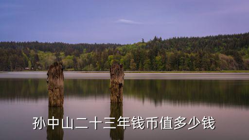 孫中山二十三年錢幣值多少錢