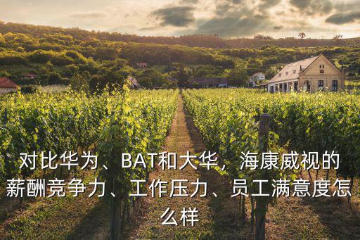 對比華為、BAT和大華，?？低暤男匠旮偁幜?、工作壓力、員工滿意度怎么樣