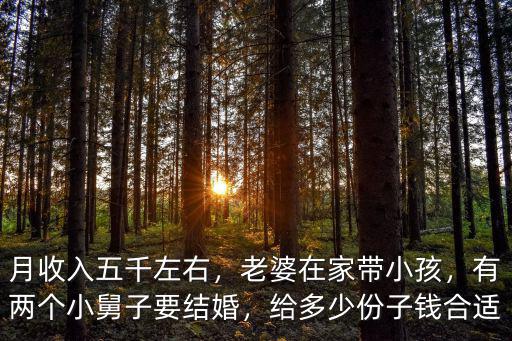 小舅子結婚給多少錢合適濰坊,有兩個小舅子要結婚