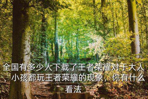 浙江省有多少人玩王者榮耀,全國有多少人下載了王者榮耀