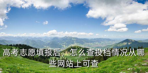 廣東怎么查高考志愿錄取狀態(tài),高考志愿填報后