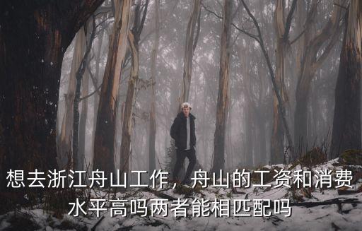 舟山魚山工資多少,舟山的工資和消費水平高嗎
