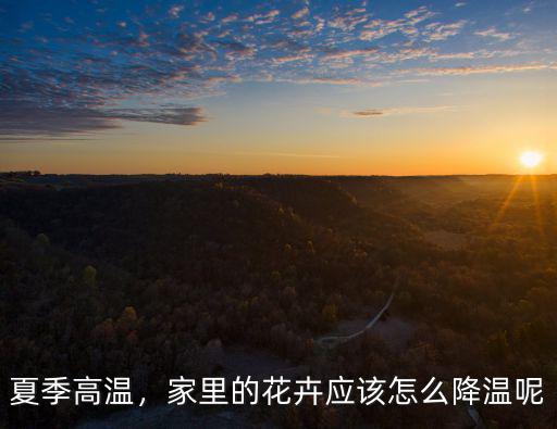 夏季高溫，家里的花卉應(yīng)該怎么降溫呢
