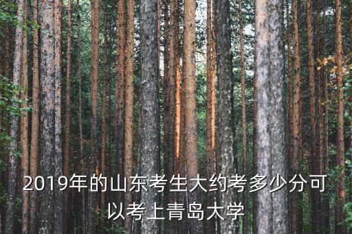 2019年的山東考生大約考多少分可以考上青島大學