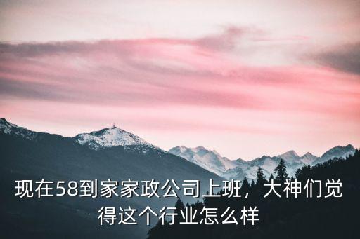 現在58到家家政公司上班，大神們覺得這個行業怎么樣